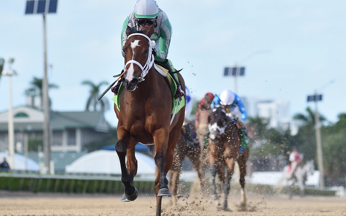 Mythical - Coglianese Photo - Gulfstream Park