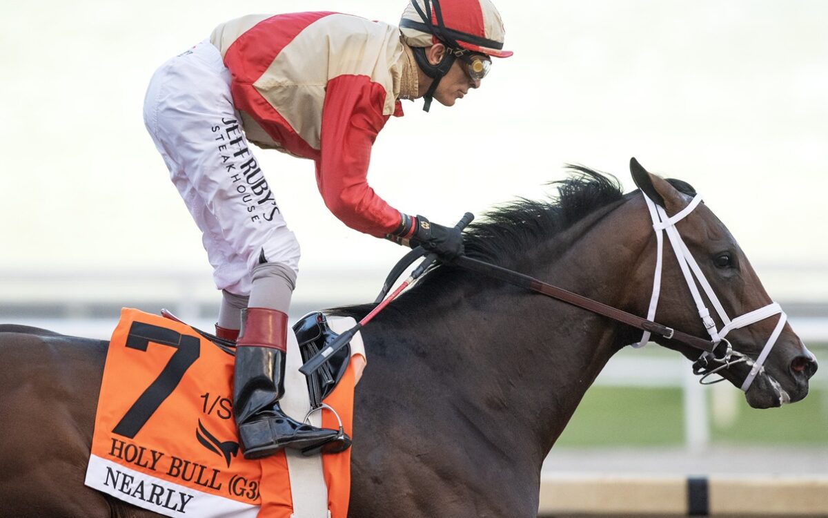 Nearly - Holy Bull G3 - Gulfstream Park - Barbara D. Livingston / Daily Racing Form