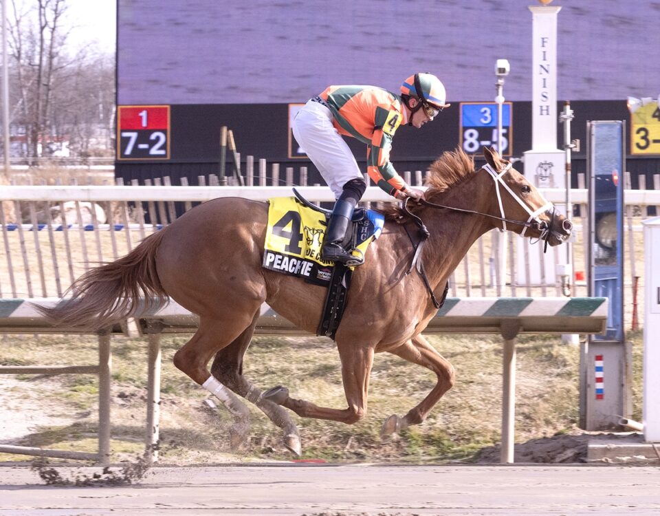 Peach Tie - Jim McCue - Maryland Jockey Club