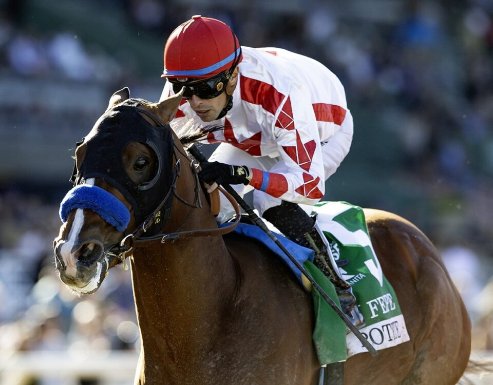 POTENTE - Benoit Photo, CA