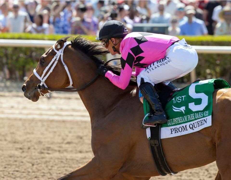 Prom Queen - Gulfstream Park Oaks G2 - Barbara D. Livingston - Daily Racing Form