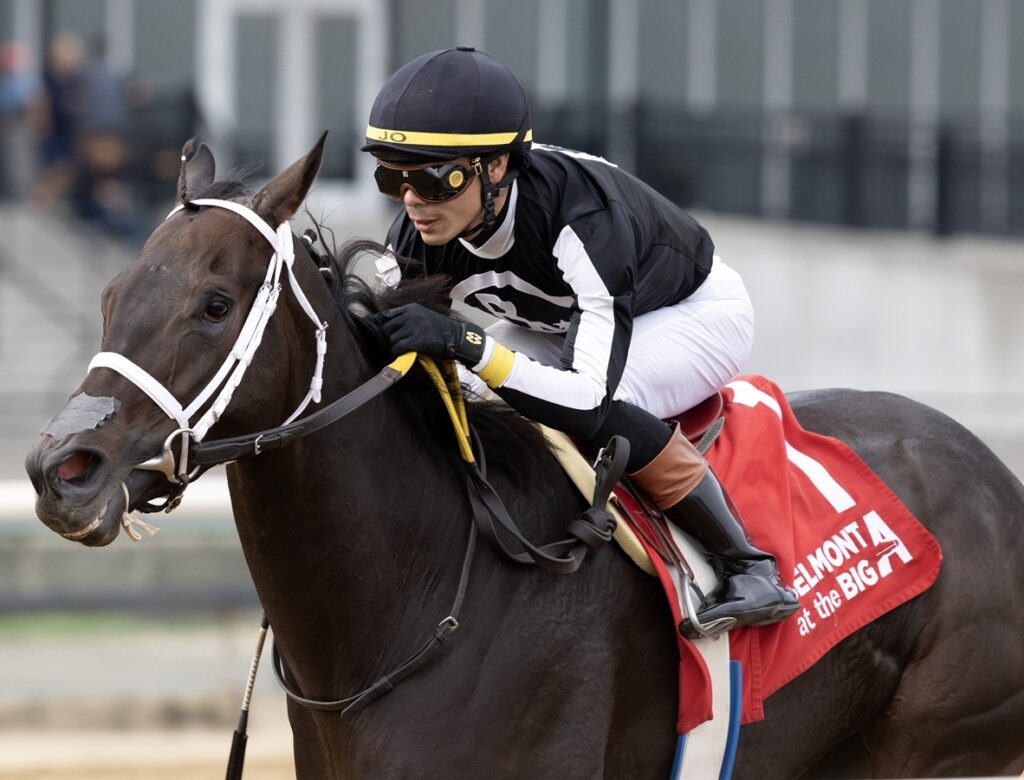 R Disaster - Barbara D. Livingston - Daily Racing Form