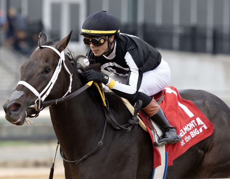 R Disaster - Barbara D. Livingston - Daily Racing Form