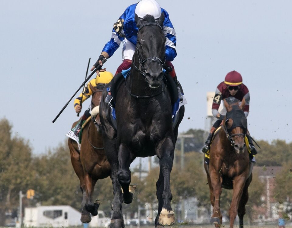 Rebel's Romance - Barbara D. Livingston - Daily Racing Form