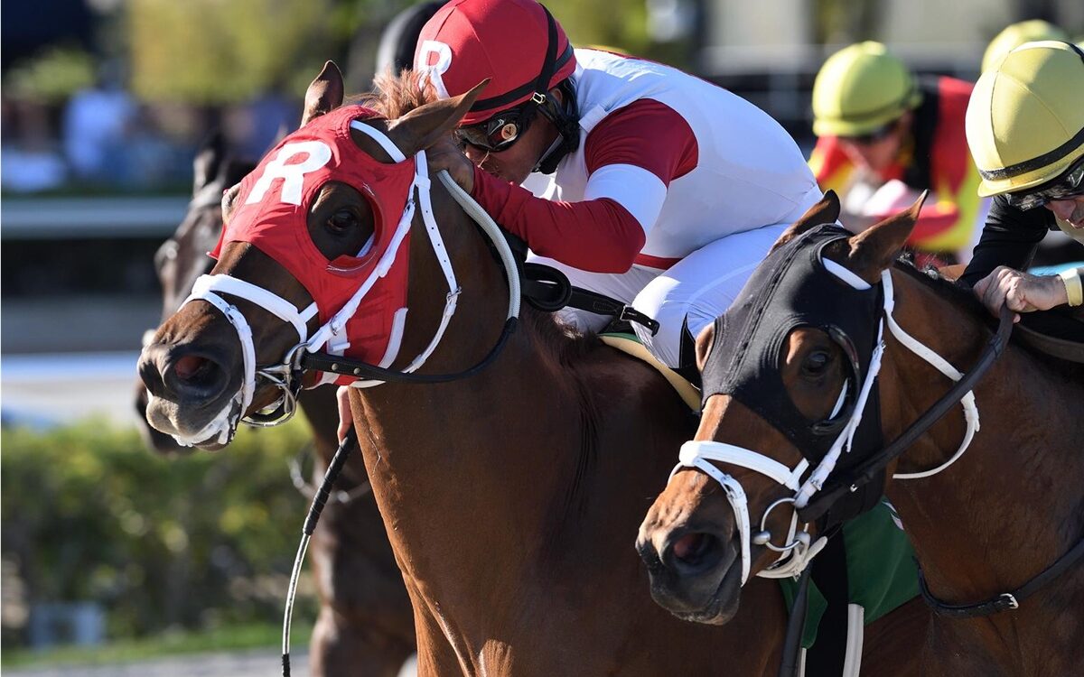 Shipmate - Texas Glitter Stakes - Gulfstream Park - Ryan Thompson - Coglianese Photo