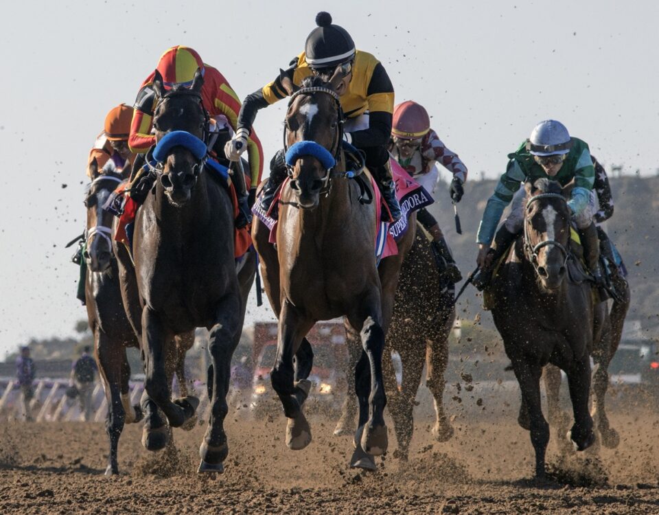 Super Corredora - Debbie Roma - Daily Racing Form