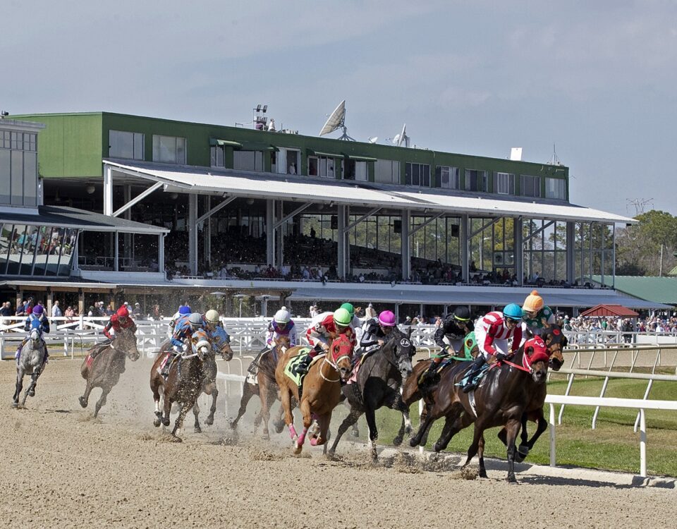 Tampa Bay Downs 2026 - Tom Keyser photo - Daily Racing Form
