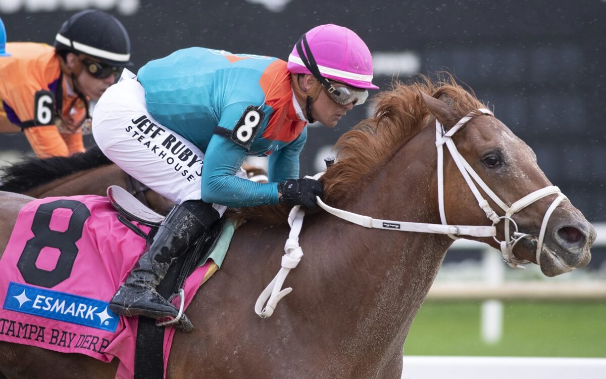 The Puma - Tom Keyser - Daily Racing Form