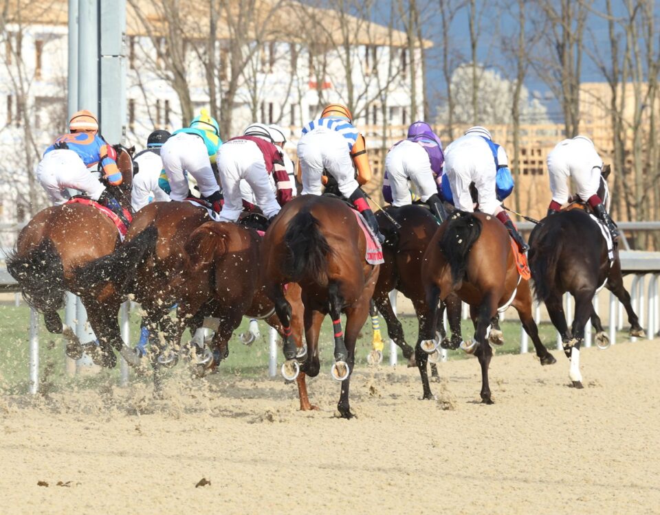 The Jeff Ruby Steaks G3 - Turfway Park Florence - Coady Media