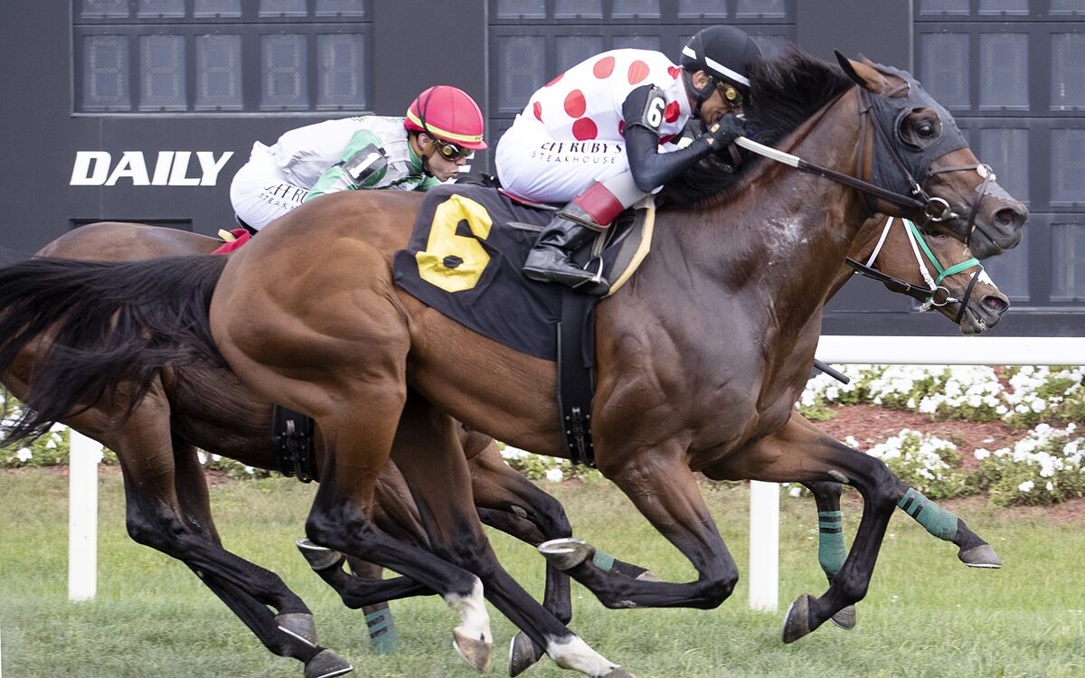 Uncle's Gold - Tampa Bay Downs - Tom Keyser / Daily Racing Form