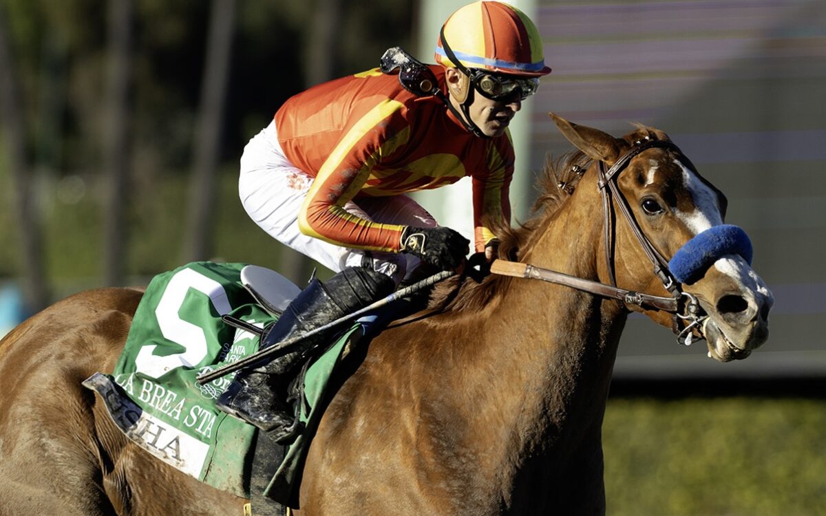 Jockey Juan Hernandez - Benoit Photo