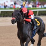 Fulmine - Hutcheson Stakes - Ryan Thompson - Coglianese Photo