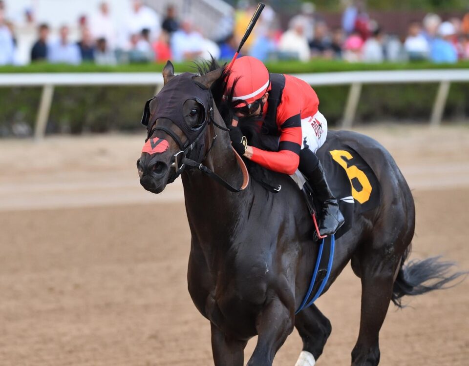 Fulmine - Hutcheson Stakes - Ryan Thompson - Coglianese Photo