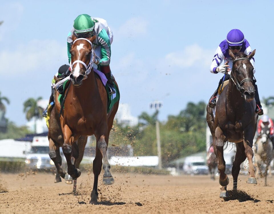 Mythical - Any Limit Stakes - Ryan Thompson - Coglianese Photo