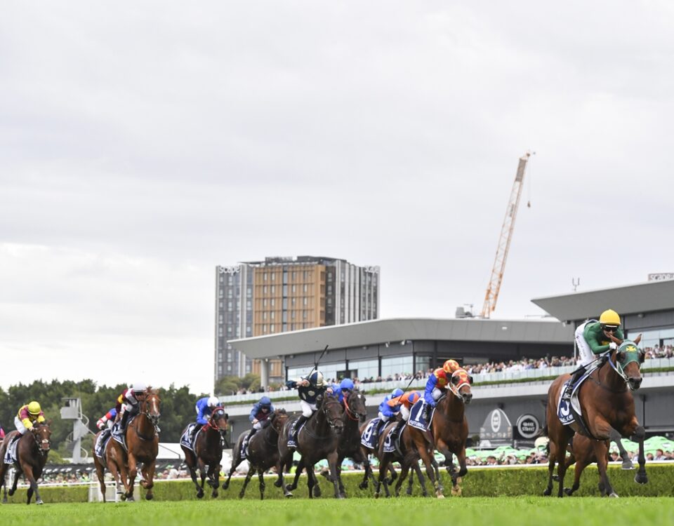 The Championships - Royal Randwick - photo credit SKY RACING