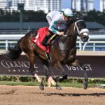 American Women - Lauren King - Coglianese Photo