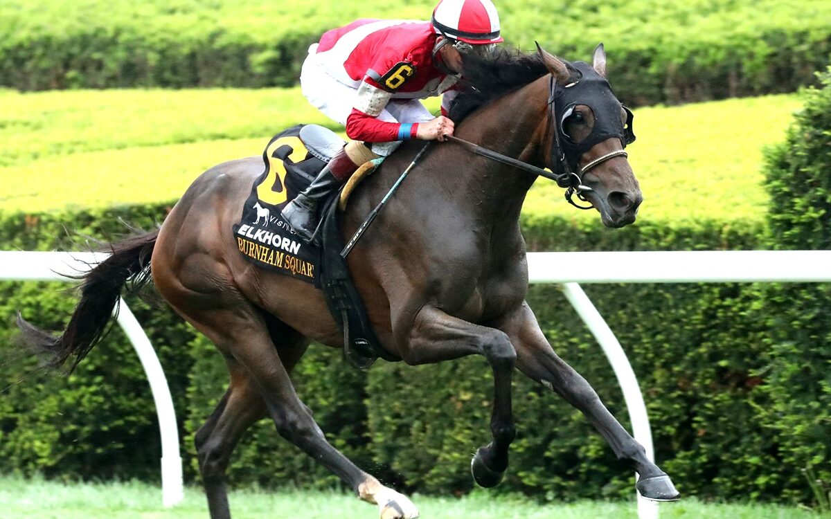 BURNHAM SQUARE - The VisitLEX Elkhorn G2 - Renee Torbit - Coady Media