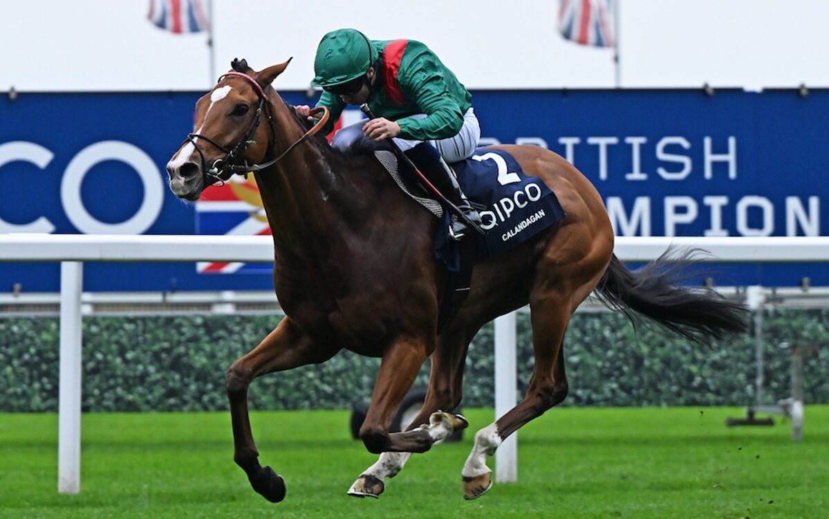 Calandagan -Ascot Racecourse 18.10.25 - Photo © Francesca Altoft focusonracing.com