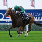 Calandagan -Ascot Racecourse 18.10.25 - Photo © Francesca Altoft focusonracing.com