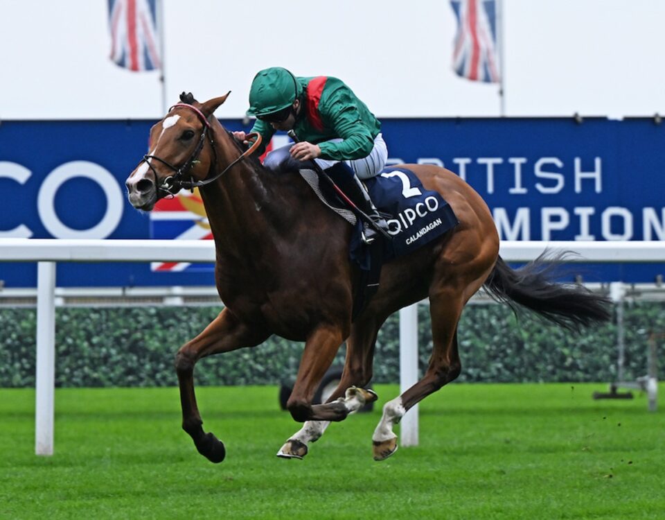 Calandagan -Ascot Racecourse 18.10.25 - Photo © Francesca Altoft focusonracing.com