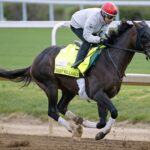 Chief Wallabee - Barbara D. Livingston - Daily Racing Form