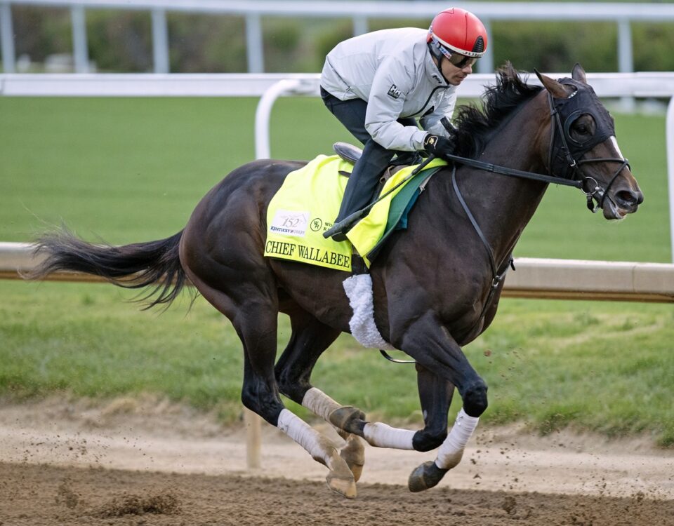 Chief Wallabee - Barbara D. Livingston - Daily Racing Form