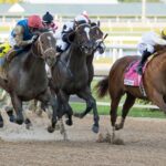 Commandment y The Puma - Barbara D. Livingston - Daily Racing Form