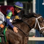 Cy Fair - Mamzelle Stakes G3 - Churchill Downs - Barbara D. Livingston - Daily Racing Form