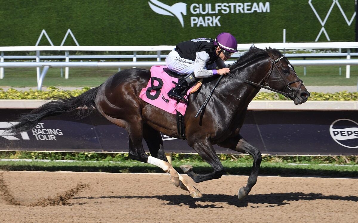 Damon's Mound - FHBPA Sprint Stakes - Coglianese Photo