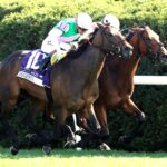 Expensive Queen (Outside) - Segesta (Inside) - Jenny Willey G1 - Rick Bailey - Coady Media