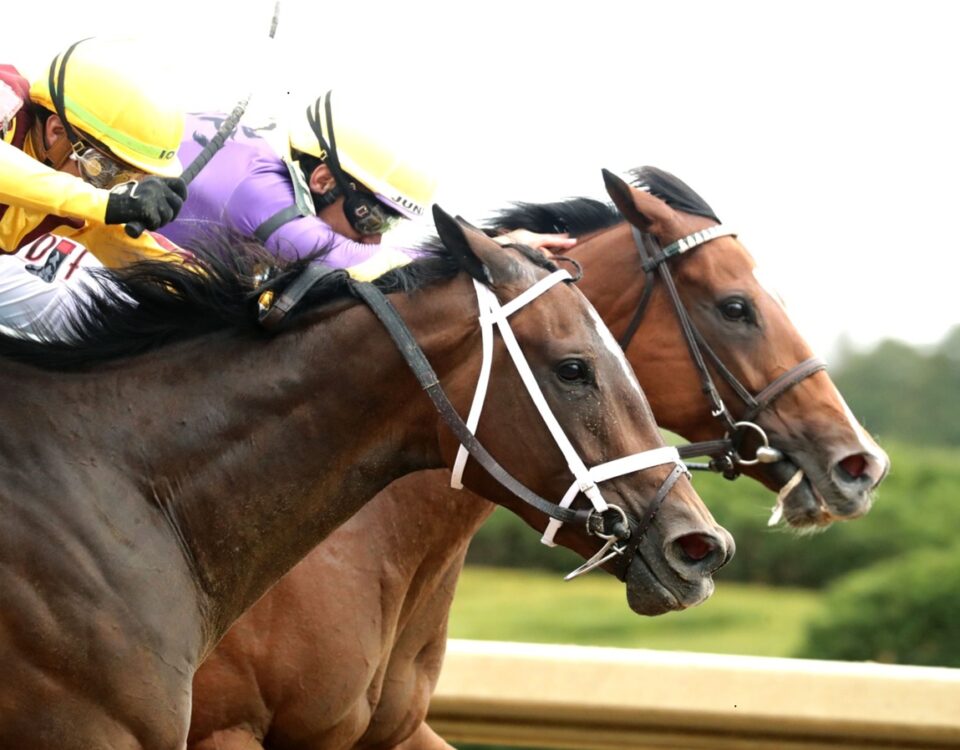 Eclatant - Madison Stakes G1 - Keeneland - Coady Media USA