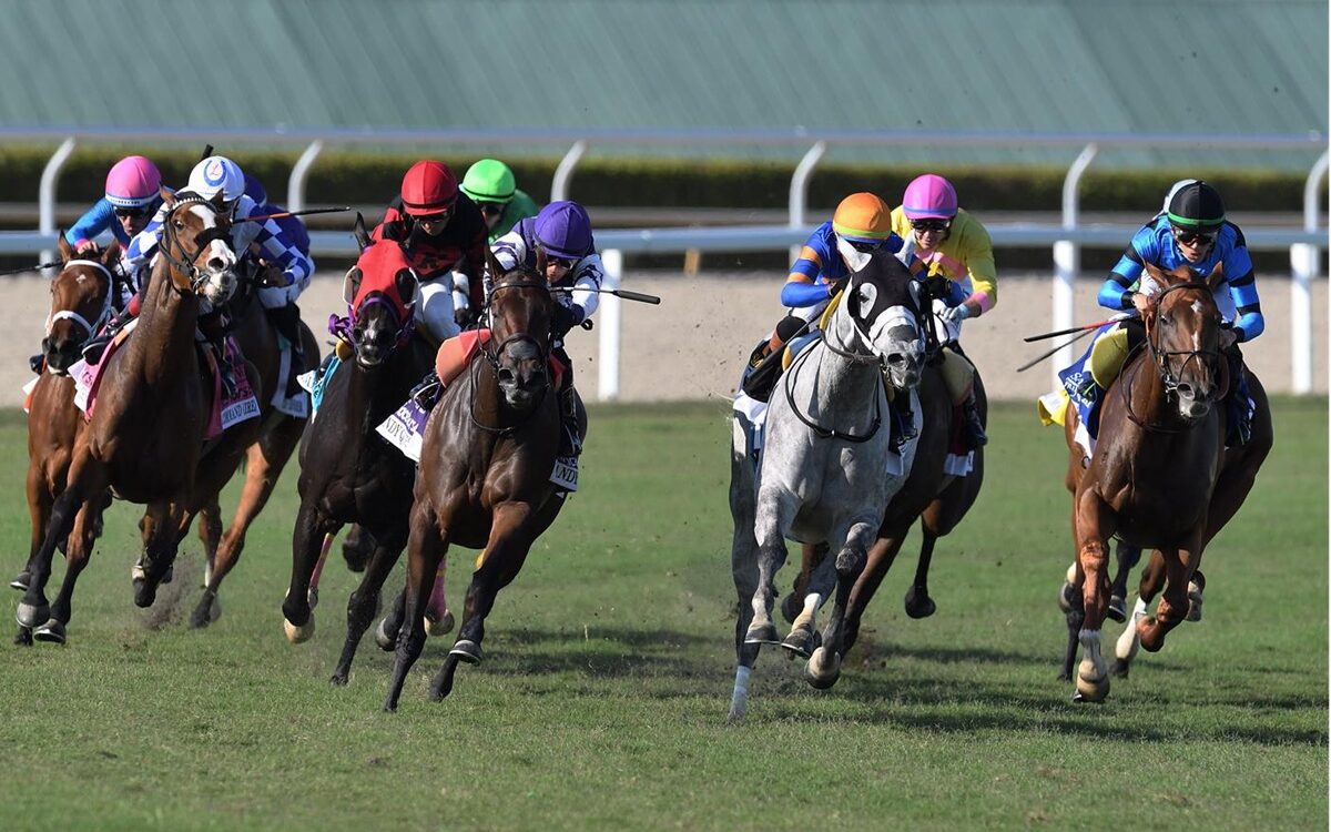 Gulfstream Park Scenic - Coglianese Photo
