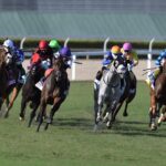 Gulfstream Park Scenic - Coglianese Photo