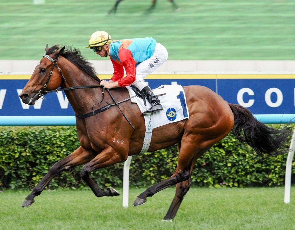 Ka Ying Rising - Foto credito: Hong Kong Jockey Club / Media