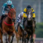 Romantic Warrior - QEII Cup - Alex Evers - Hong Kong Racing