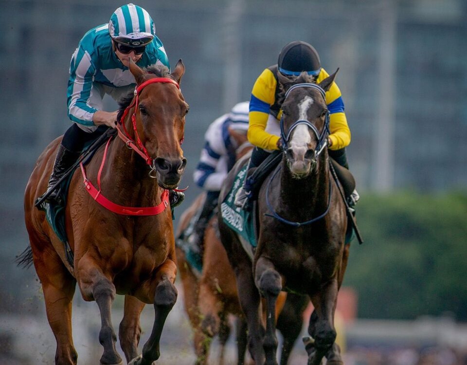 Romantic Warrior - QEII Cup - Alex Evers - Hong Kong Racing