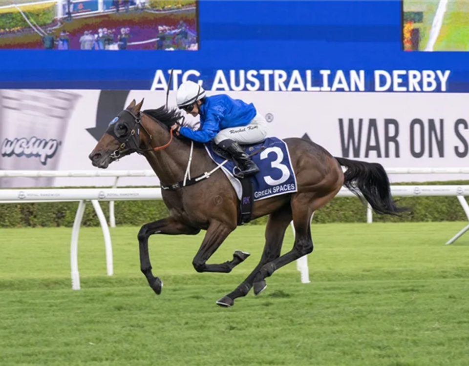 GREEN SPACES - ATC AUSTRALIAN DERBY at Randwick in Australia. Picture: Bradley Photos. -Sky Racing World