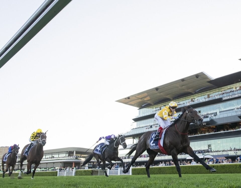 Sir Delius - photo credit SKY RACING