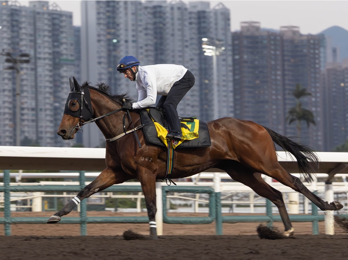 Kayin Rising Ka Ying Rising tras otra gesta histórica en el Champions Day | DRF en ...