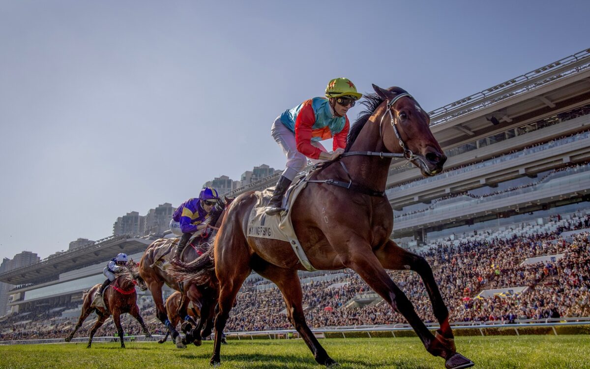 Ka Ying Rising - photo credit Alex Evers - Hong Kong Jockey Club