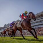 Ka Ying Rising - photo credit Alex Evers - Hong Kong Jockey Club