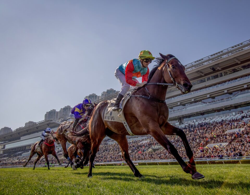 Ka Ying Rising - photo credit Alex Evers - Hong Kong Jockey Club