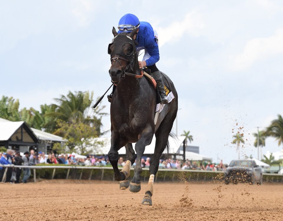 Knightsbridge - Coglianese Photo