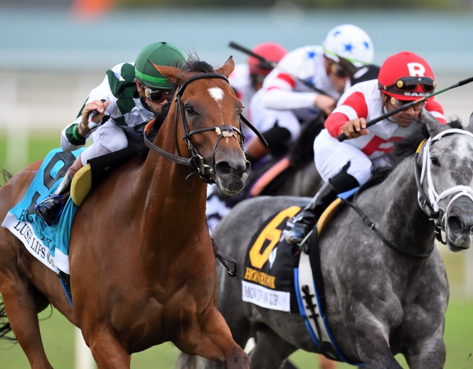 Lush Lips (GB) - Nicole Thomas - Coglianese Photo