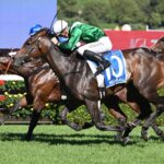 Champions Day - Royal Randwick - Sky Racing World