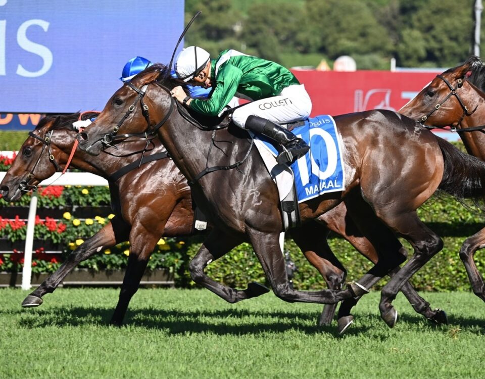 Champions Day - Royal Randwick - Sky Racing World