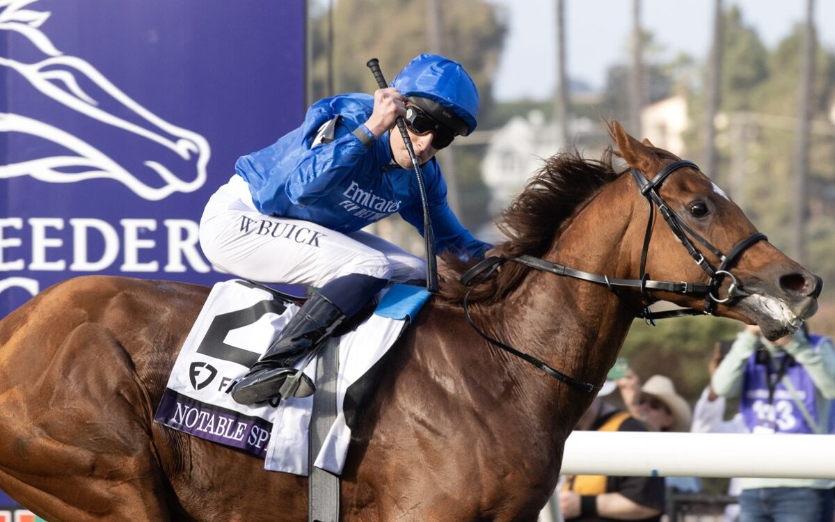 Notable Speech - BC Mile - Barbara D. Livingston - Daily Racing Form