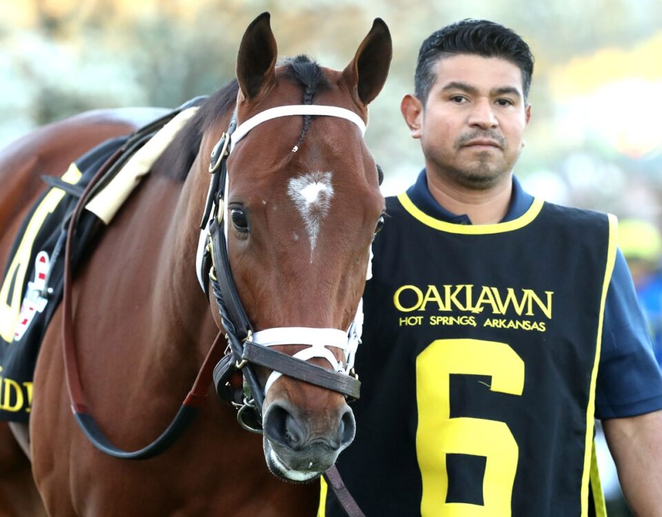 Renegade - Coady Media Photo