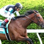 Speed Shopper  (Quality Road) - Bewitch Stakes G3 - Keeneland - Coady Media