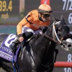 Shisospicy - Barbara D. Livingston - Daily Racing Form